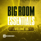 Big Room Essentials, Vol. 06 artwork