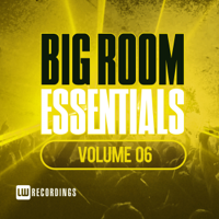 Various Artists - Big Room Essentials, Vol. 06 artwork