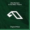 In the Wild / Polaris - EP