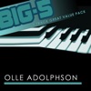 Big-5 : Olle Adolphson (Remastered) - EP, 2010