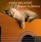 Green Onions - Vanja Orlandic lyrics
