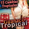 15 Cumbias Tropicales Guanaco Tropical, 2017