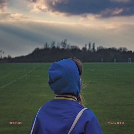Cover artwork for Swing Shut