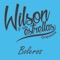 Madre Solo Hay Una - Wilson y Sus Estrellas lyrics
