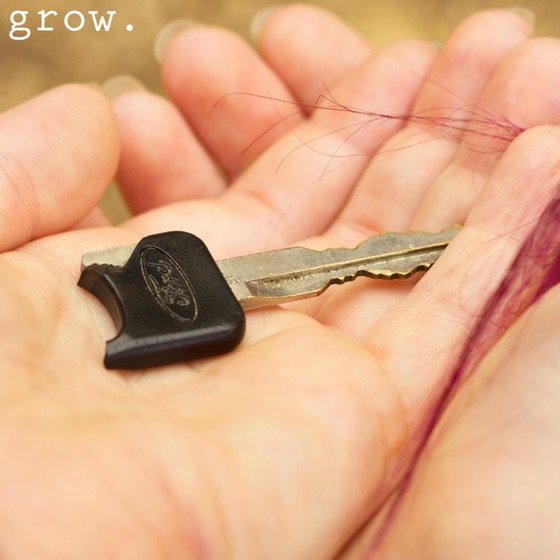 Cover artwork for Grow