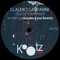Disco Pony - Claudio Gasparini lyrics