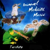 Animal Medicine Music artwork