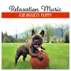 Relaxation Music for Anxiety Puppy - Soothing Music for Lonely Dogs, Calm Sleep, Harmony & Balance, Total Comfort, Calm Atmosphere album lyrics, reviews, download