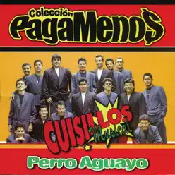 Perro Aguayo - Banda Cuisillos