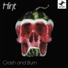 Crash and Burn (feat. Natalie Storm) - EP artwork
