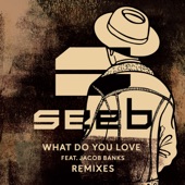 What Do You Love (feat. Jacob Banks) [SJUR Remix] artwork