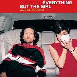 Everything But the Girl - Wrong