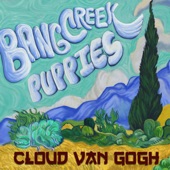 Bangcreek Puppies - Cloud Van Gogh