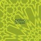 d.d. - S.R. - Polvo lyrics