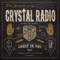 The Moth - Crystal Radio lyrics