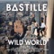 Winter of Our Youth - Bastille lyrics