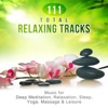 111 Total Relaxing Tracks: Music for Deep Meditation, Relaxation, Sleep, Yoga, Massage & Leisure, Soothing Nature Sounds for Reiki & SPA, 2016