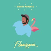 Flight of the Flamingo artwork