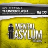 Thunderflash - Single, 2013