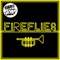 Fireflies (Instrumental) - Sam and the Womp lyrics