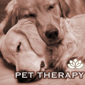 Pet Therapy - Relaxing Music for Dogs and Cats - The Marcello Player & Dog Music