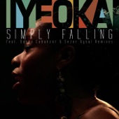 Simply Falling Remixes - EP artwork