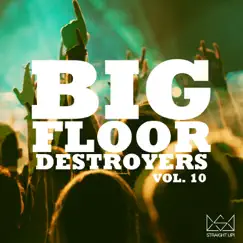 Big Floor Destroyers, Vol. 10 by Various Artists album reviews, ratings, credits