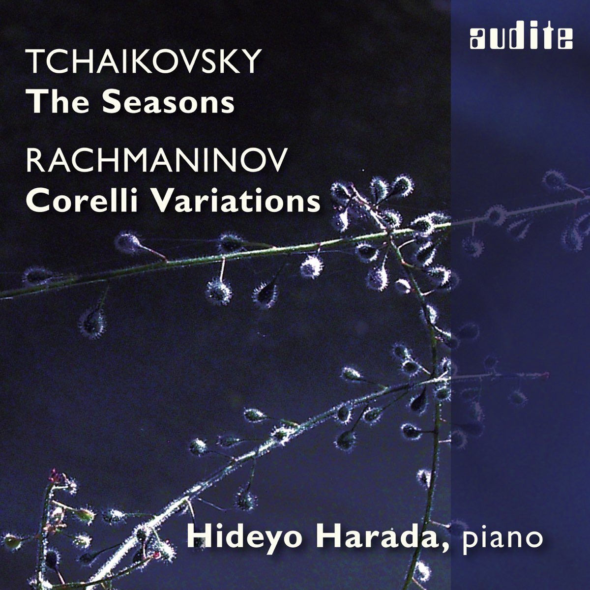 Tchaikovsky - the Seasons.