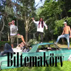 Biltemakörv - Single by Rasmus Gozzi & Louise Andersson Bodin album reviews, ratings, credits