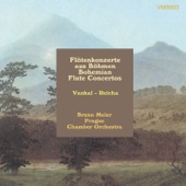 Flute Concerto in B-Flat Major: I. Allegro moderato artwork