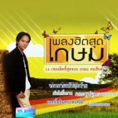 เพลงฮิตสุดเกษม artwork