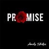Andy Stokes - Promise