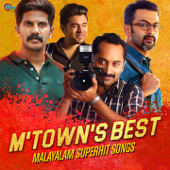 M Town's Best - Malayalam Superhit Songs - Various Artists