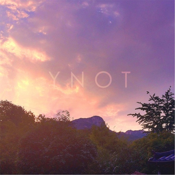 Cover artwork for Ynot (feat. Blue Satellite)