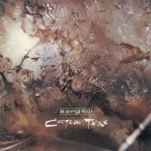 Cocteau Twins - My Love Paramour