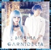 BiRTHiA ジャケット写真