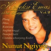 Nunut Ngiyup, Vol. 2 artwork