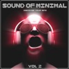 Sound of Minimal, Vol. 2