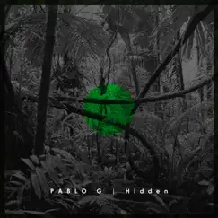 Hidden - Single by Pablo G album reviews, ratings, credits