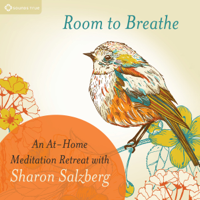 Sharon Salzberg - Room to Breathe: An At-Home Meditation Retreat with Sharon Salzberg artwork