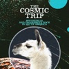 The Cosmic Trip: Psychedelia & Progressive Rock In South América