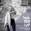 See You Cry (feat. Daniel Ceder) - Single