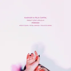 Fakin It (feat. Ofelia K) [Remixes] - Single - Kaskade