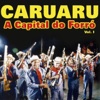 Caruaru, Vol. 1 (A Capital do Forró)