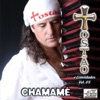 Chamamé e Convidados, Vol. 3, 2012