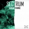 Rawfare - Sectrum lyrics