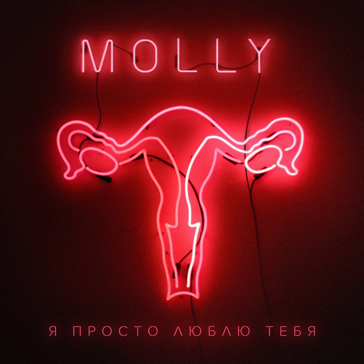 MOLLY – Я просто люблю тебя: слушать и скачать mp3 песню