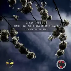 Until We Meet Again in Heaven (Vechigen Chillout Remix) - Single by Stars Over Foy album reviews, ratings, credits