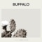 Helio - Buffalo lyrics