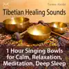 Stream & download Tibetian Healing Sounds - 1 Hour Singing Bowls for Calm, Relaxation, Meditation, Deep Sleep - Single